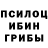 Псилоцибиновые грибы Psilocybe Sandy Nurgozhina