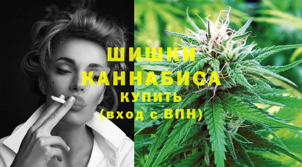 прущие грибы Белокуриха