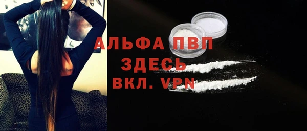 прущие грибы Белокуриха