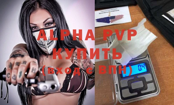 прущие грибы Белокуриха