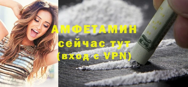 прущие грибы Белокуриха