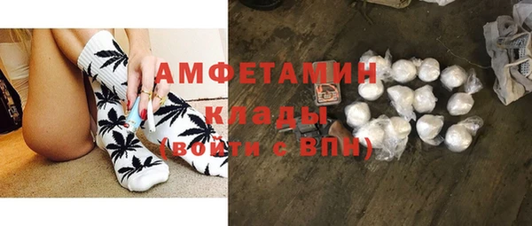 прущие грибы Белокуриха