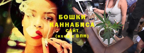 прущие грибы Белокуриха