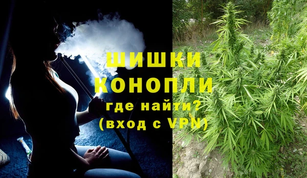 прущие грибы Белокуриха