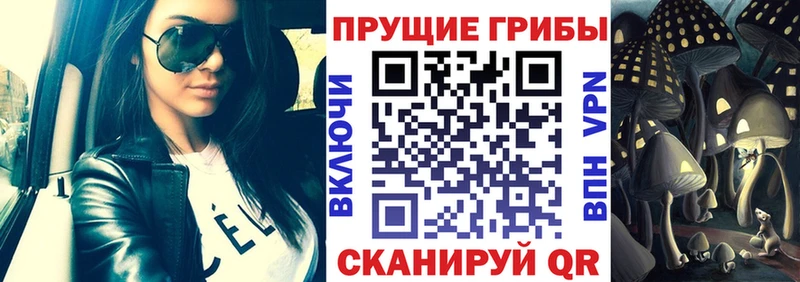 MEGA сайт  Куйбышев  сайты даркнета как зайти  Галлюциногенные грибы MAGIC MUSHROOMS 
